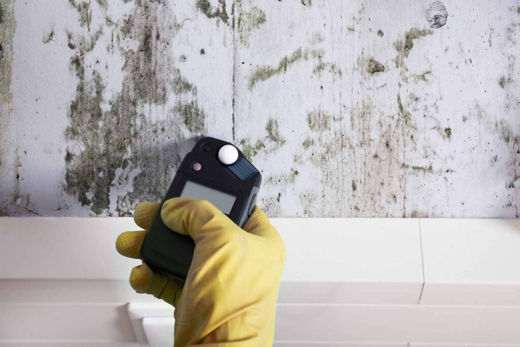 mould-testing